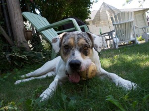 laceycatahoula